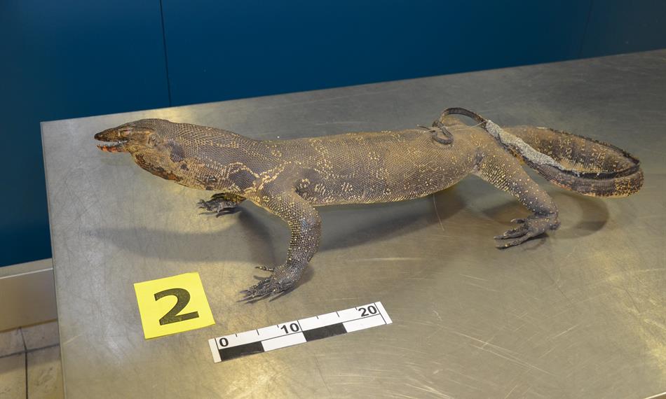 2014-7-7-13206. foto.jpg